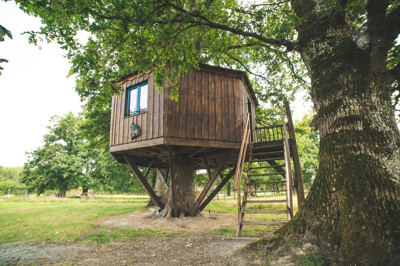 La Ferme De Piardiere Plesse Exterior photo